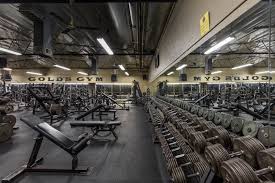 Let me be your personal trainer and i'll create a fitness and weight loss program just for you — so you get the best workouts for your body with hollywood's guidance, celebrities and everyday people have made the commitment to lose big and get fit, discovering the. Gold S Gym North Hollywood Fitness Programs Training Nutrition