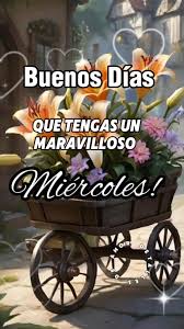 Feliz Miércoles!???????????????????????????? | TikTok