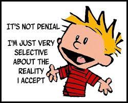 Denial Isn T Just A River In Egypt Polysyllabic Profundities