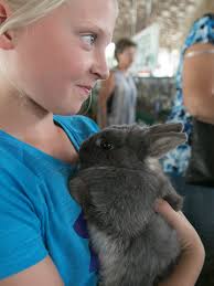 Fowlerville Family Fair brings country fun