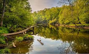 Jackrabbit mountain recreation area boasts several hiking trails, and the campground has paved roads for an easy afternoon of bicycling. 30 Best Places For Camping In North Carolina Beyond The Tent
