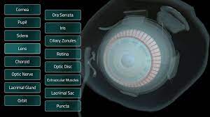If the download doesn't start, click here. Eva For Android Apk Download