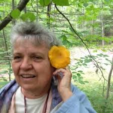 Mushrooms at Sylvan Solace