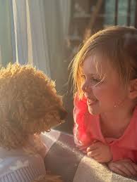 Luna and her bestie Daisy 🐶 🌼 🤍 Best decision we ever made was to get  our little floofball!