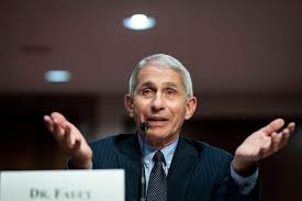 The majority of cases in the u.k. Fauci Young People Are Propagating A Pandemic By Not Caring If They Get Infected