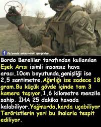 Mustafa Munozhat Jildirim Adli Kullanicinin Evler Mimari Zanaat Sanateserleri Elisler Panosundaki Pin Gercekler Bilgi Biliyor Muydunuz