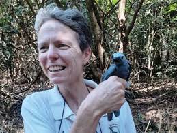 BirdLife Northern Gauteng BirdLife Gauteng-Noord