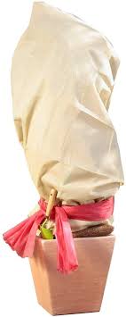 Windhager Winter Vlies Superprotect Thermovlies Gartenvlies Frostschutz Kalteschutz Fur Baume Und Pflanzen 1 5x3 M 70 G M In 2020 Gartenvlies Frostschutz Pflanzen