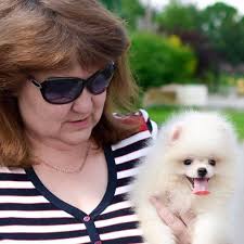 Chocolate, Parti , Merle Pomeranian 🔥