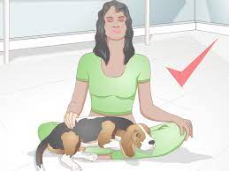Maybe you would like to learn more about one of these? How To Deal With Excessive Licking In Older Dogs 10 Steps