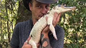 How long a crocodile lives depends on its species. Rare White Alligator Stolen During Fire That Killed 43 Reptiles Officials Say The New York Times