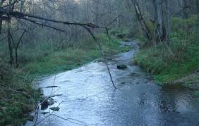 The park is about 30 miles (48 km) from the city of pittsburgh, near hookstown. View Of Stream At Beaver Creek Valley State Park Minnesota Free Stock Photos In Jpg Format For Free Download 798 23kb