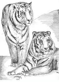 Schöne malvorlagen für kinder beliebte bilder zum ausmalen. 40 Tiger Bilder Kostenlos Besten Bilder Von Ausmalbilder