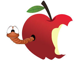 En effet, elle peut manger des végétaux, comme des légumes ou encore des fruits. Peut On Manger Les Pommes Vereuses Jardinier Paresseux