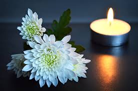 Over the years, caring families have included the foundation for grieving children in their loved ones' obituaries. Flower Essences For Grief Tribe Of The Tree Flower Essences