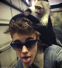 Check spelling or type a new query. Justin Bieber Gives Away His Lonely Pet Monkey Instead Of Rescuing It From German Animal Clinic Daily Mail Online
