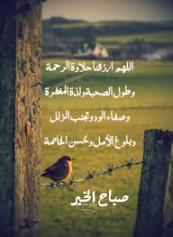 صباح الخير صباح النور صباح الايمان صباح الدعاء صباح التفاؤل صباح السعادة صباح الامل صباح ال morning images islamic pictures good morning greetings