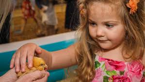 PHOTOS: Easter Egg Hunt