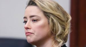 Amber Heard's future 'dead and gone': 'Hollywood's had enough!'