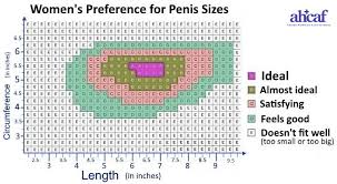 Average Penis Size Length Girth Erect Flaccid By