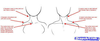 How To Draw Anime Necks And Shoulders Drawing Lessons For Kids Drawing Tutorials For Beginners Sketching Tips