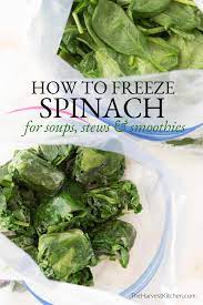 How To Freeze Spinach Recipe Spinach Frozen Spinach Frozen Fresh