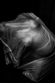 You can set your address, phone number, email and site description in the settings tab. Wet Silk Hand Made Photography