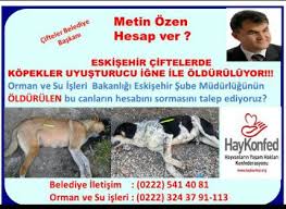 Eskisehir Cifteler De Kopekler Yasal Hukumlere Ve Ozel Denetime Tabi Olan Uyusturucu Turevi Psikotropik Ve Narkotik Oklu Ignelerle Olduruluyor Haykonfed Hayvanlarin Yasam Haklari Konfederasyonu