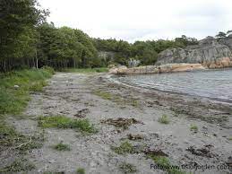 Maybe you would like to learn more about one of these? Strandvika Badeplass Badeinfo