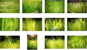 Follow the vibe and change your wallpaper every day! 12 Beautiful Green Grass Field Hd Wallpapers Osxdaily