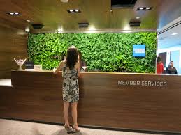 American Express Centurion Lounge New York Laguardia Green Interior Design Modern Office Interiors Vertical Green Wall