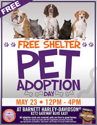 Petsmart charities national adoption days update. Free Shelter Pet Adoption Day At Barnett Harley Davidson Barnett Harley Davidson