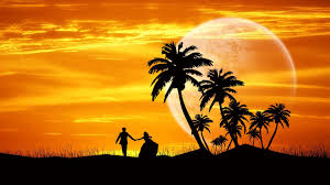 Animal Laptops Hd Wallpapers Love Wallpaper Sunset Wallpaper Abstract Backgrounds