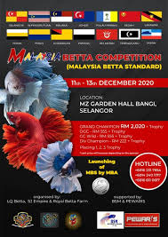 Betta Society Of Malaysia Home Facebook