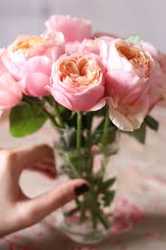 Nos coups de coeur sur les routes de france. The Vuvuzela Roses Rose Flowers Beautiful Flowers