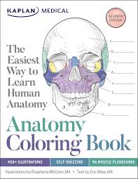 Get crafts, coloring pages, lessons, and more! Anatomy Coloring Pages Splendi Human Kids Heart Free Printables Printable Stephenbenedictdyson