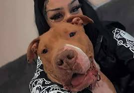 Lancaster man accused of impersonating police officer, attempted to enforce  dog law: PD