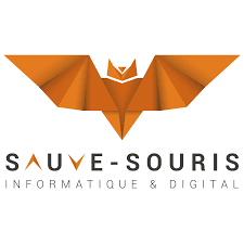 Ces cours particuliers d'informatique à domicile peuvent aussi vous former à l'appréhension de la base de données (mysql, sql, langage sql). Formation Informatique Cours Particuliers Pour Senior Sauve Souris