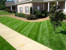 Maybe you would like to learn more about one of these? Zeon Zoysia 504 Sq Ft Atlanta Sod Company