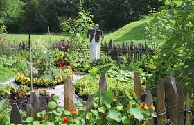 From sun to soil to picking crops, we've got you covered! Vegetable Garden Design Ideas For Designing A Vegetable Garden