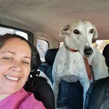 Estética canina Natalia Tello