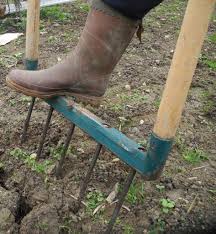 5 Activites Au Jardin Pour Ce Mois De Fevrier 2019 Jardins Jardinage Idees Jardin