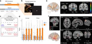 Chen b, garmire l, calvisi df, chua ms, kelley r and chen x harnessing big omics data and ai for drug discovery in hepatocellular carcinoma nature yan z, grenert jp, joseph nm, ren c, chen x, shafizadeh n and kakar s. Hippocampal Seed Connectome Based Modeling Predicts The Feeling Of Stress Nature Communications