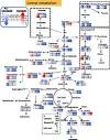Metabolite and transcript profiling of berry skin during fruit ...