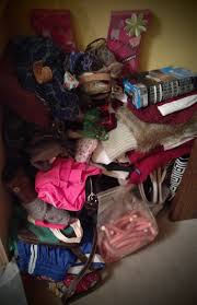 We had the salvation army come to pick up our couch once. Salvation Army Vs Goodwill Waste Not Want Not