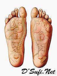 Urutan di tapak kaki secara teratur dan konsisten mampu melancarkan aliran darah secara. Dsufi Urutan Tapak Kaki