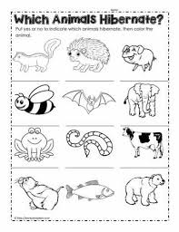 Animals That Hibernate Which Animals Hibernate Animals That Hibernate Hibernation Preschool Crafts