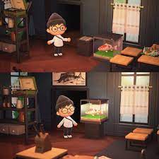 You Can Make An Aquarium If You Put Your Fish On A Record Box R Animalcrossing
