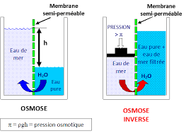 Les procedes pour dessaler l'eau il existe diverses techniques, certaines sont plus adaptées à un. Le Dessalement De L Eau De Mer Et Des Eaux Saumatres Culturesciences Chimie