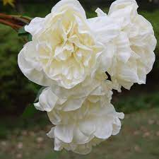 Maybe you would like to learn more about one of these? Cream White Artificial Peony Flowers Wholesale 29 9 Party Decoration 16 Pcs Lot Pu Latex Material Real Touch Stock Fake Flores Artificial Peony Flower Peony Flowerartificial Peony Aliexpress